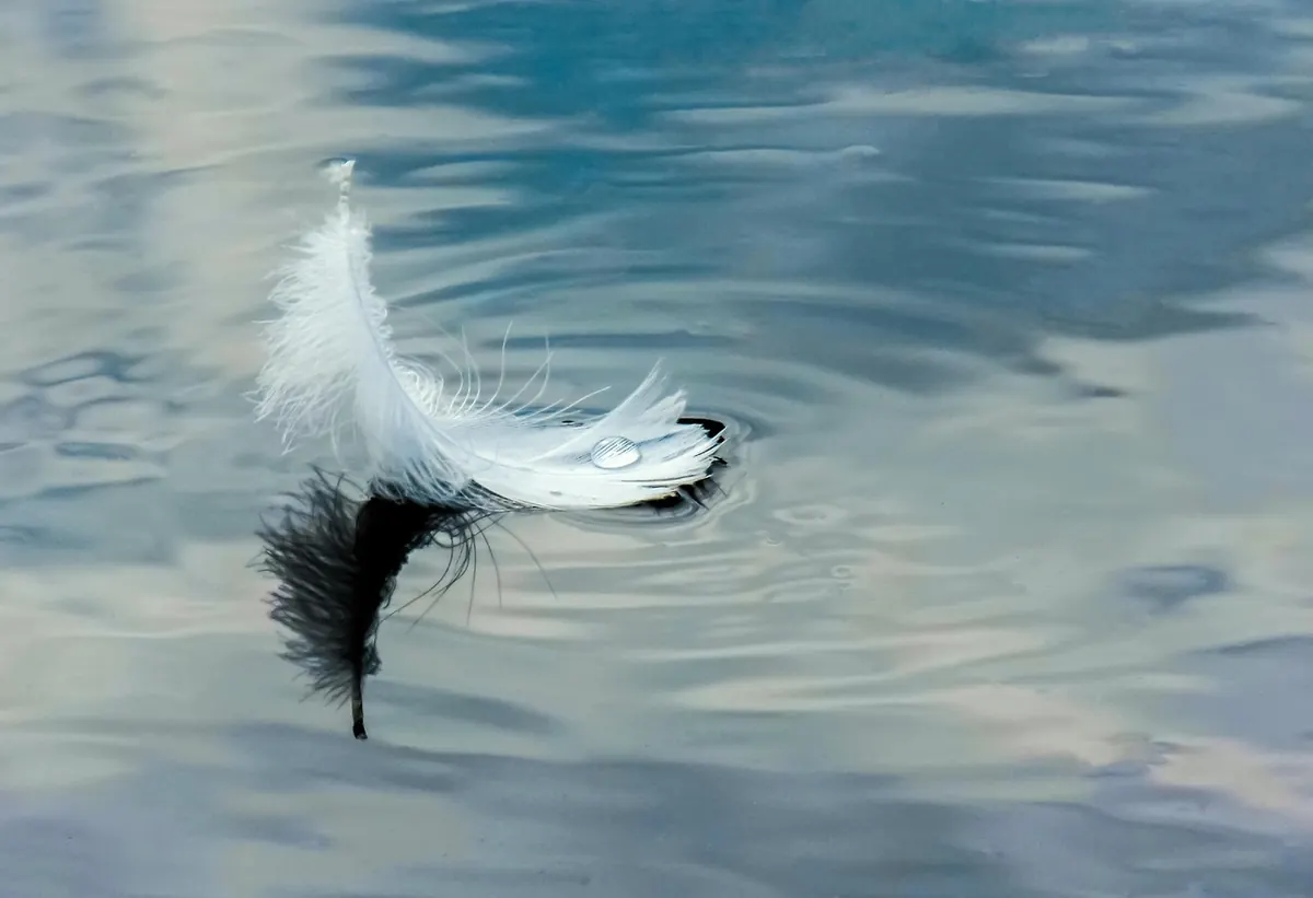 How to Start Wild Swimming Safely in the Mersey Estuary